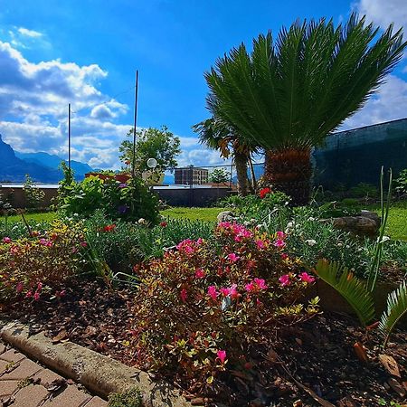 Le Rose Sul Lago Пескате Экстерьер фото